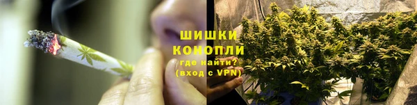spice Верея