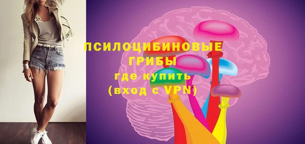spice Верея
